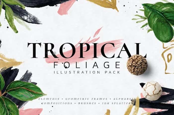Pinceles Tropicales Affinity e Illustrator